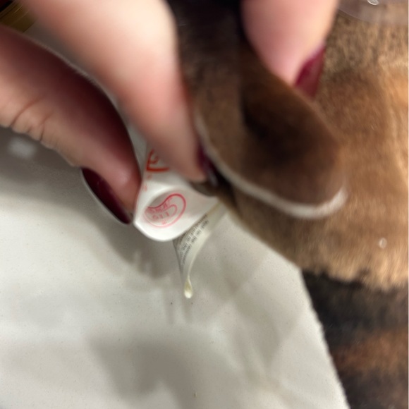 Rare Beanie Babie Early with date error, spelling and gramma error, stamp tush - Picture 5 of 6